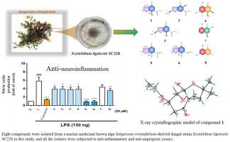 Chemical constituents from marine medicinal brown alga-derived Scytalidium lignicola SC228