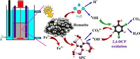 Application of natural hematite as catalyst in heterogeneous photo-Fenton like process for 2,4-dichlorophenol degradation