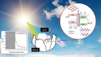 Enhanced Synergistic performance of ZnO@BiOX (X=Cl, Br, I) heterojunction for photocatalytic degradation of emerging pollutants under visible light