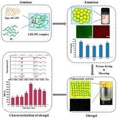 Structuring low-density lipoprotein-based oleogels with pectin via an emulsion-templated approach: Formation and characterization