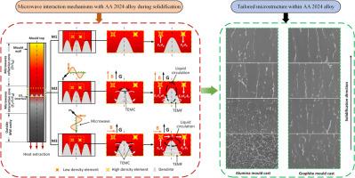 On tailored microstructure in AA 2024 alloy during in-situ microwave casting