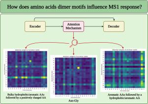 Decoding the impact of neighboring amino acids on ESI-MS intensity output through deep learning