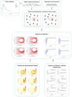 Robot-assisted pedestrian evacuation in fire scenarios based on deep reinforcement learning