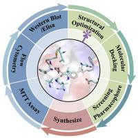 Structure optimization, synthesis and bioactivity evaluation of novel BCR-ABL tyrosine kinase inhibitor targeting T315I mutation