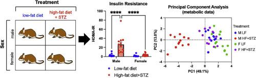 The high-fat diet and low-dose streptozotocin type-2 diabetes model induces hyperinsulinemia and insulin resistance in male but not female C57BL/6J mice