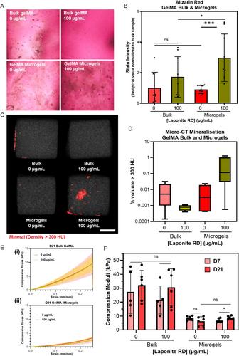 Laponite Nanoclay-Loaded Microgel Suspensions as Supportive Matrices for Osteogenesis