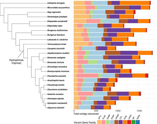 VenomCap: An exon-capture probe set for the targeted sequencing of snake venom genes