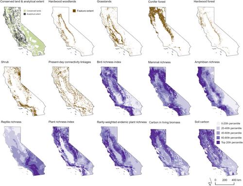 An approach to designing efficient implementation of 30×30 terrestrial conservation commitments