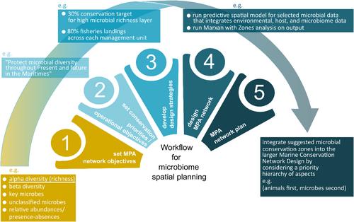 Marine spatial planning for socio-ecological management of animal-associated microbiomes