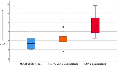 Safety, efficacy, and optical coherence tomography insights into intravascular lithotripsy for the modification of non-eruptive calcified nodules: A prospective observational study