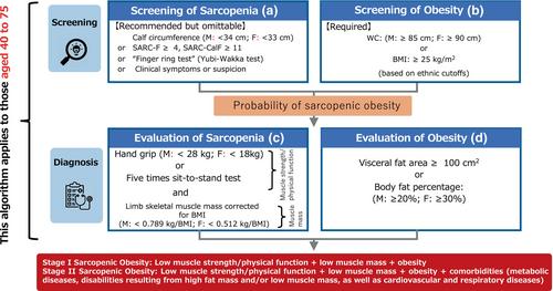 Diagnosis of sarcopenic obesity in Japan: Consensus statement of the Japanese Working Group on Sarcopenic Obesity