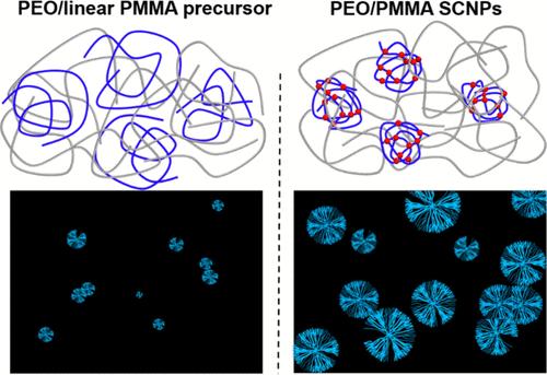 Crystallization Kinetics of Poly(ethylene oxide) in All-Polymer Nanocomposites Based on Poly(methyl methacrylate) Single-Chain Nanoparticles