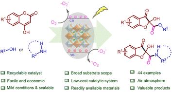 Sustainable photocatalytic synthesis of 2-hydroxybenzofuran-3(2H)-ones using lead-free Cs2AgBiBr6 nanocrystals†