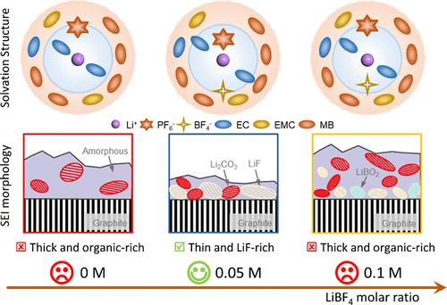 Trace LiBF4 Enabling Robust LiF-Rich Interphase for Durable Low-Temperature Lithium-Ion Pouch Cells