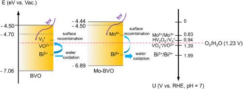 Promoting effect of interfacial hole accumulation on photoelectrochemical water oxidation in BiVO4 and Mo-doped BiVO4