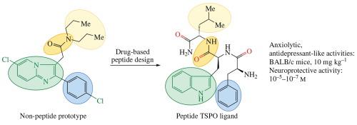 Tripeptide Phe-Trp-Leu-NH2 as a putative endogenous ligand of TSPO: molecular modeling, synthesis and pharmacological activity