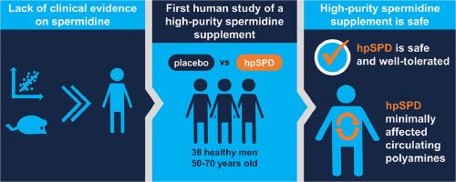 Supplementation of spermidine at 40 mg/day has minimal effects on circulating polyamines: An exploratory double-blind randomized controlled trial in older men