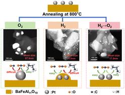 High temperature reductive treatment promotes thermal stability of Pt/hexaaluminate catalysts for CO and C3H8 oxidation†
