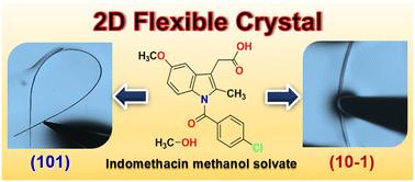 Structural basis for a two-dimensional flexible pharmaceutical solvate crystal: indomethacin methanol†