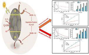 Enhanced visible-light photocatalytic degradation of organic pollutants using fibrous silica titania and Ti3AlC2 catalysts for sustainable wastewater treatment†