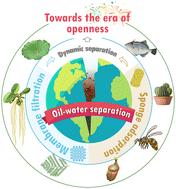 Bioinspired superwetting oil–water separation strategy: toward the era of openness†