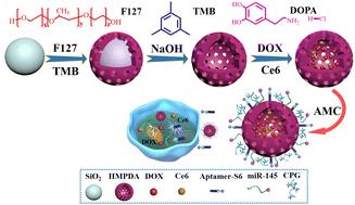 Study on the application of hollow mesoporous polydopamine as a nanoparticle drug carrier in tumor combination therapy