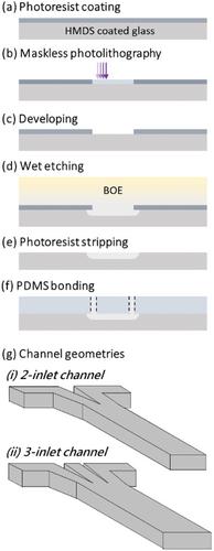 Responsive Soft Interface Liquid Crystal Microfluidics