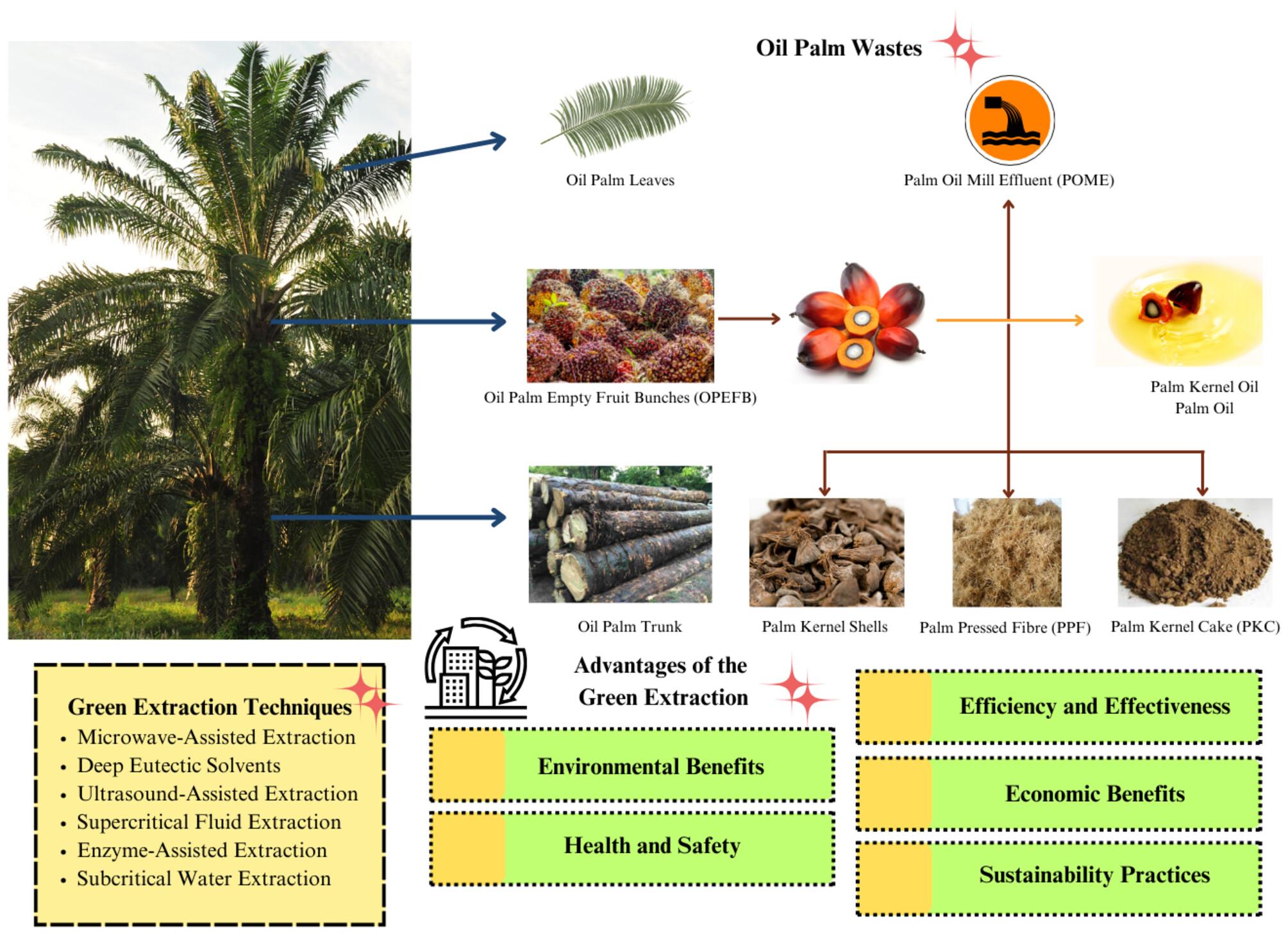 Recovery of bioactive compounds from oil palm waste using green extraction techniques and its applications