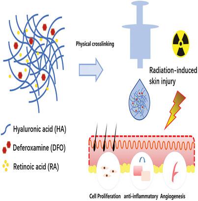 Application of Physically Crosslinked Hyaluronic Acid Hydrogel in the Treatment of Radiation-Induced Skin Injury