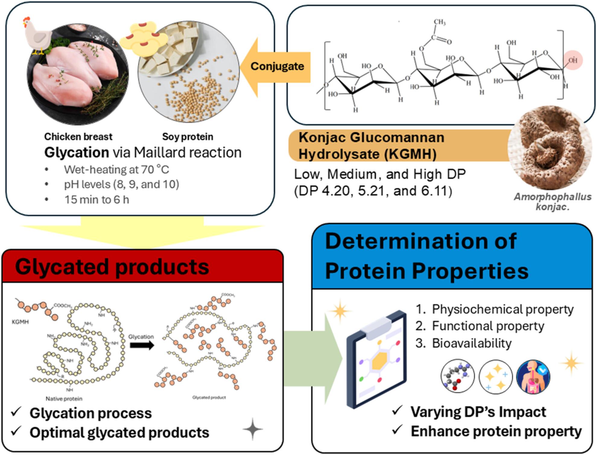 Characterisation of chicken breast and soy proteins glycated with konjac glucomannan hydrolysate