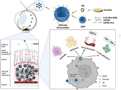 Neutral Nanocomplex Delivers Plasmid Encoding α-Hemolysin for Uveal Melanoma Treatment