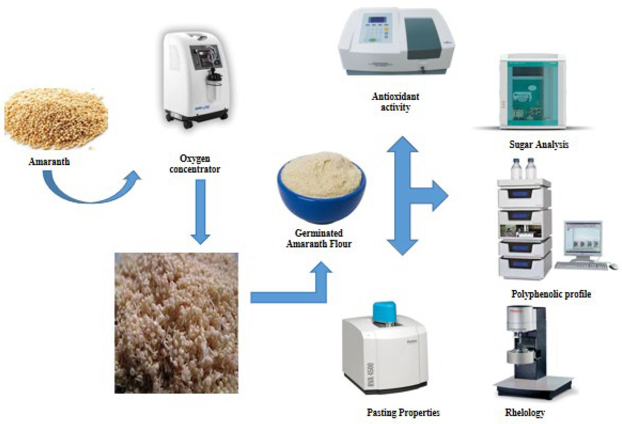 Exploring the potential of germination and ozone treatment to improve the nutritional profile and functional properties of amaranth grains