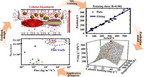 Enhancing Ballistic Transport and C3–C4 Alcohol Dehydration through Machine Learning-Designed Cationic Graphene Oxide Membranes