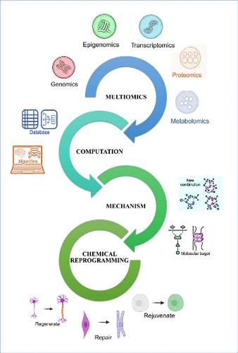 Small Molecular Approaches for Cellular Reprogramming and Tissue Engineering: Functions as Mediators of the Cell Signaling Pathway