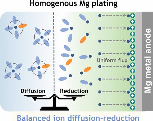 Balancing Ion Diffusion-Reduction in Chlorine-Free Electrolytes Enables Long-Life Mg Metal Batteries