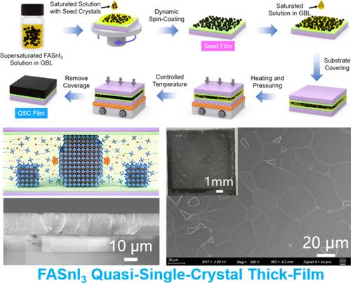 Seed-Crystal-Assisted Space-Confined Growth of FASnI3 Quasi-Single-Crystal Thick Films and Their Photodetection Characteristics