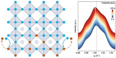 Anion exchange promoting non-impurities enables conformable and efficient inverted perovskite solar cells†