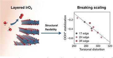 Theoretical insights into layered IrO2 for the oxygen evolution reaction†