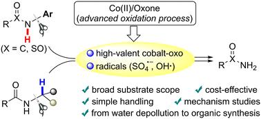 C–N cleavage of secondary amide to access primary amide by a Co(ii)/Oxone oxidation system†