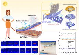 Design of a unidirectional water-transport skin-derived wearable material through engineering a natural pore-size gradient for personal wet–thermal management†