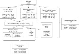 Fetal heart diseases and neonatal mortality: Risk factors and management