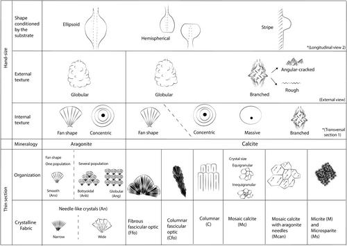 Phreatic overgrowths on speleothems (POS) from the Mallorca caves: Morphology, mineralogy, and crystal fabric classification