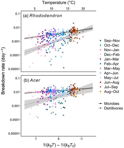 Temperature dependence of leaf breakdown in streams differs between organismal groups and leaf species