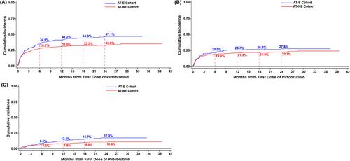 Evaluation of bleeding risk in patients who received pirtobrutinib in the presence or absence of antithrombotic therapy