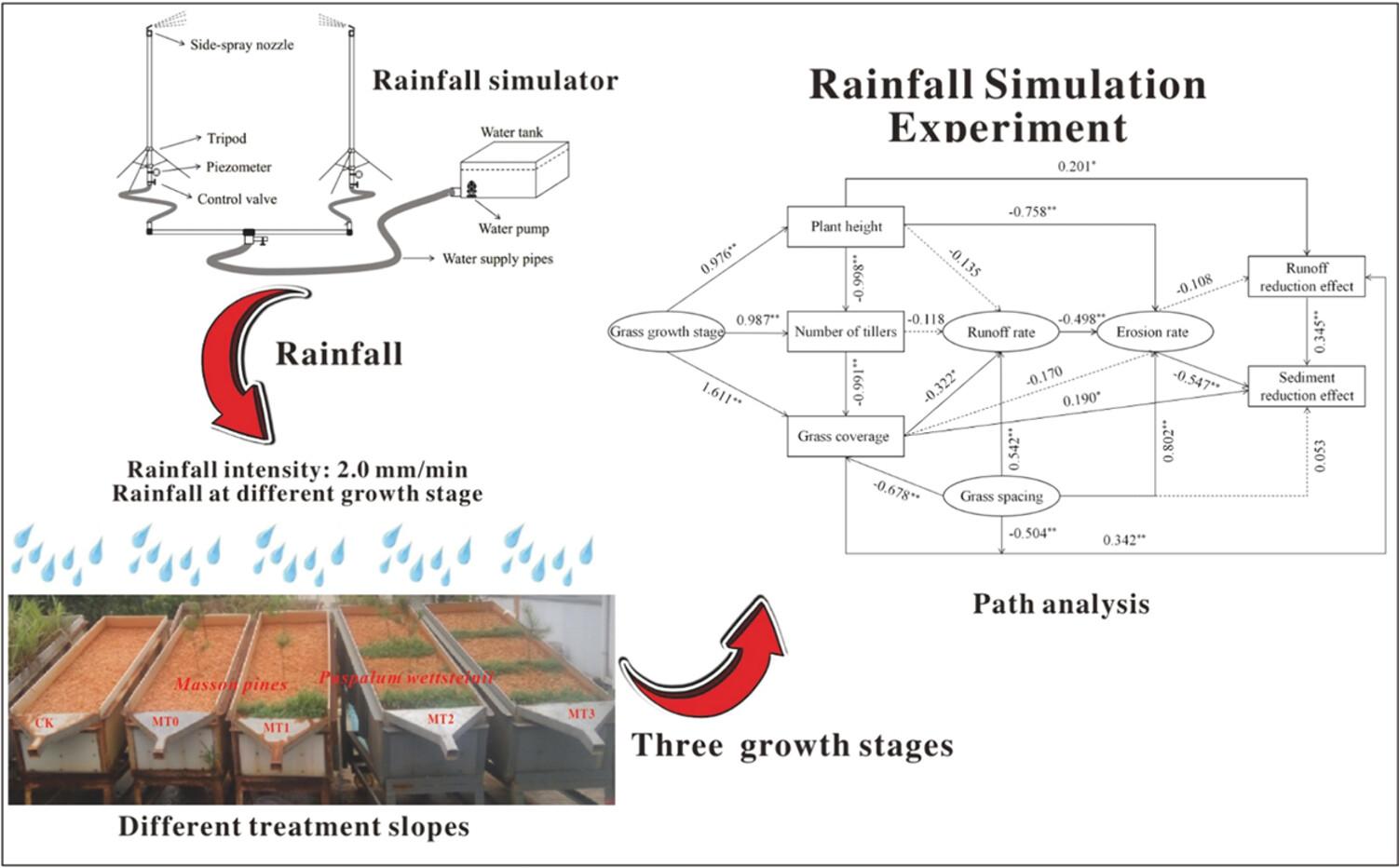 Runoff and sediment reduction effects of different Paspalum wettsteinii-planting measures on the slopes of Masson pine plantation in the red soil region of southern China