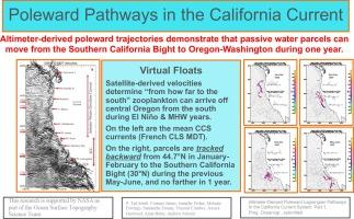 Altimeter-derived poleward Lagrangian pathways in the California Current System: Part 1