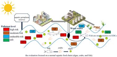 Pollution characteristics and risk assessment of endocrine-disrupting chemicals in surface water of national (freshwater) aquatic germplasm resource reserves in Guangdong Province†