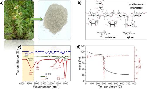 Investigation on Psyllium Gum as a Bio-Based Binder for Silicon Anode in Lithium-Ion Batteries