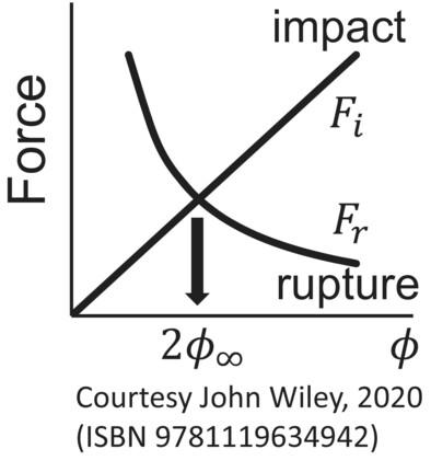 Modeling the aspect ratio of commercial catalysts
