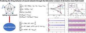 Predicting the firing behaviour of neural network through the bifurcation analysis of derivative mean-field model